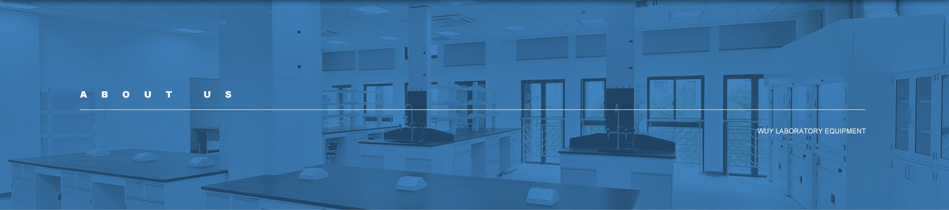 江苏五越实验室设备有限公司