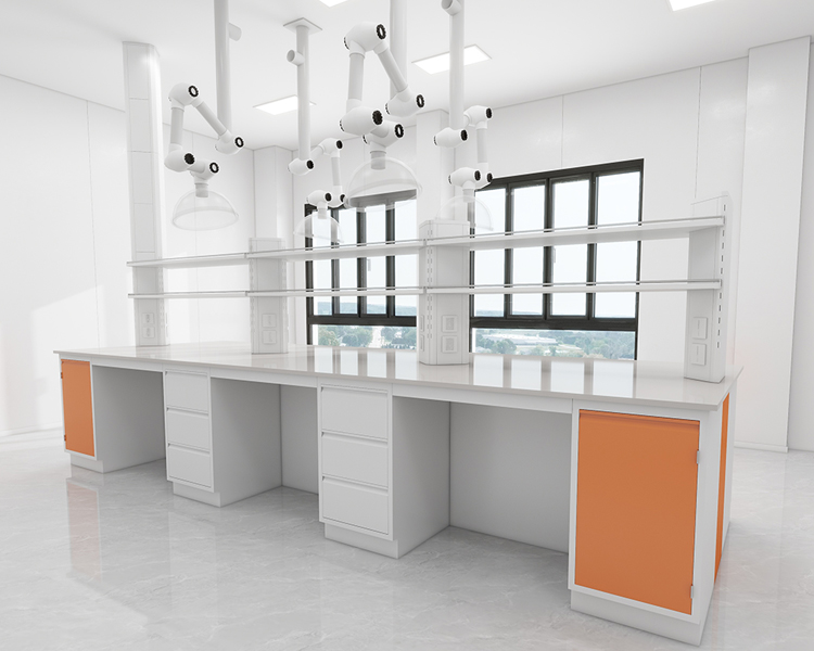 Laboratory decoration process