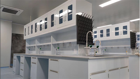 Laboratory safety guidelines